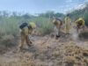 Refuerzan capacitación forestal para bomberos en Magdalena de Kino