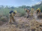 Refuerzan capacitación forestal para bomberos en Magdalena de Kino