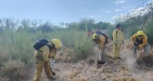 Refuerzan capacitación forestal para bomberos en Magdalena de Kino