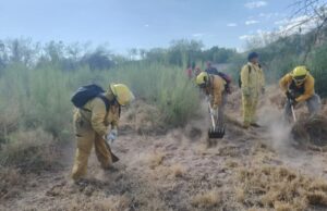 Refuerzan capacitación forestal para bomberos en Magdalena de Kino