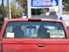 Odepafa gestionará permiso para que vehículos afiliados circulen sin problemas este verano en carreteras de Sonora